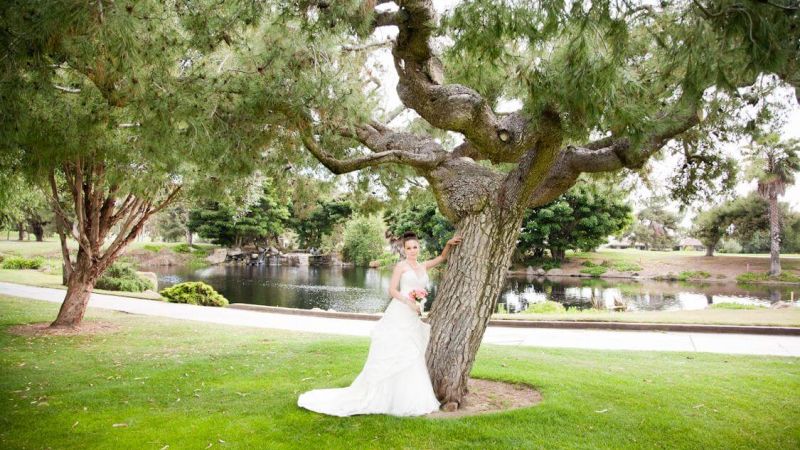 bride-tree-lake